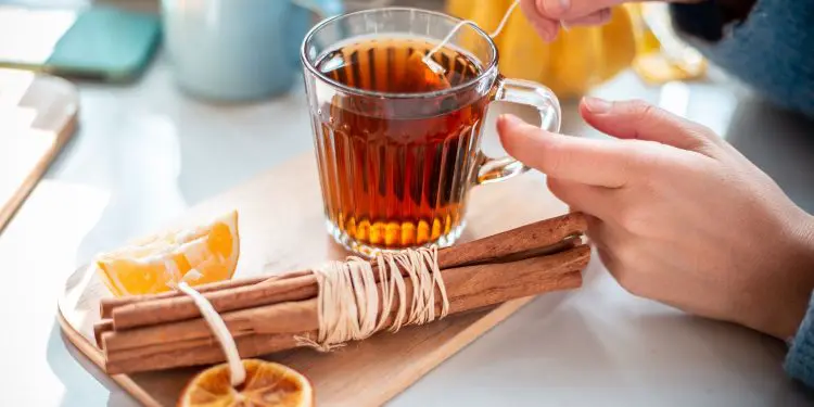 can-i-drink-cinnamon-tea-while-pregnant-onlymomsknow