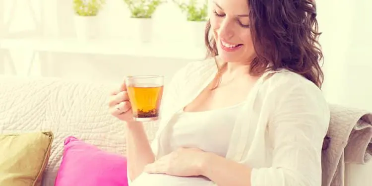 can-i-drink-herbal-tea-while-pregnant-onlymomsknow