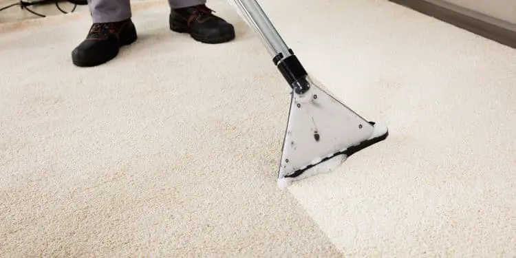 How Much Does It Cost To Clean Carpet