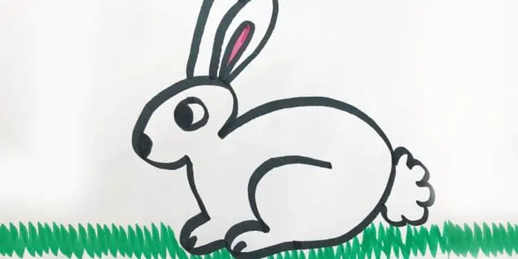 How To Draw A Bunny For Kids