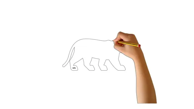 How To Draw A Cheetah For Kids