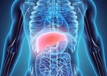 How Long Does It Take To Clean Your Liver