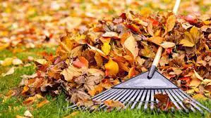 How Much To Charge For Leaf Clean Up