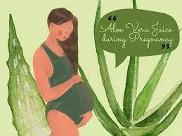 Can i drink aloe vera while pregnant